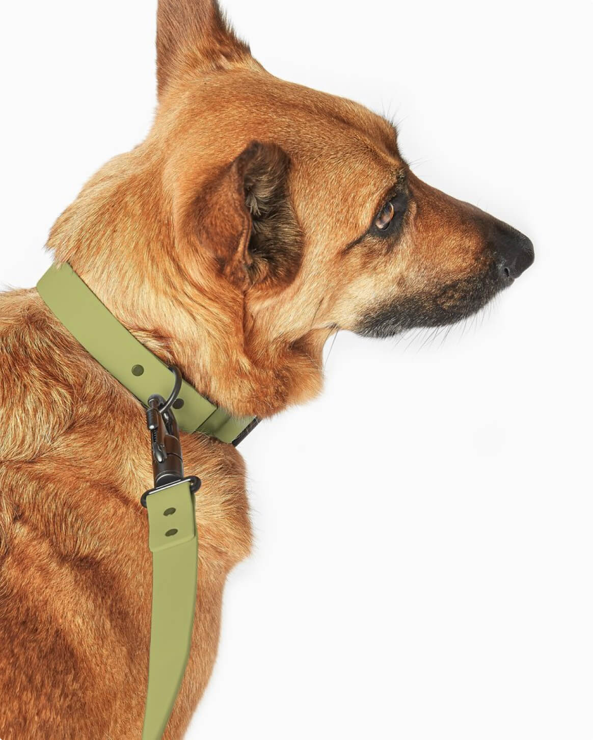 Signature Leash wodoodporna smycz dla psów ręcznie wykonana w USA