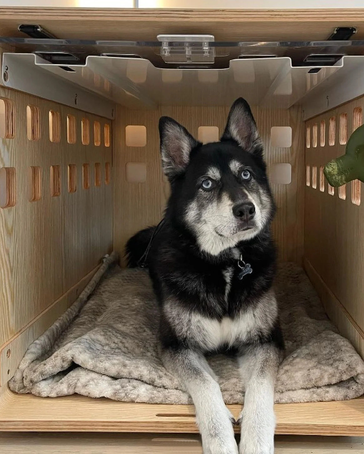 Signature Crate Bentwood Furniture Dog Crate in Two Finishes