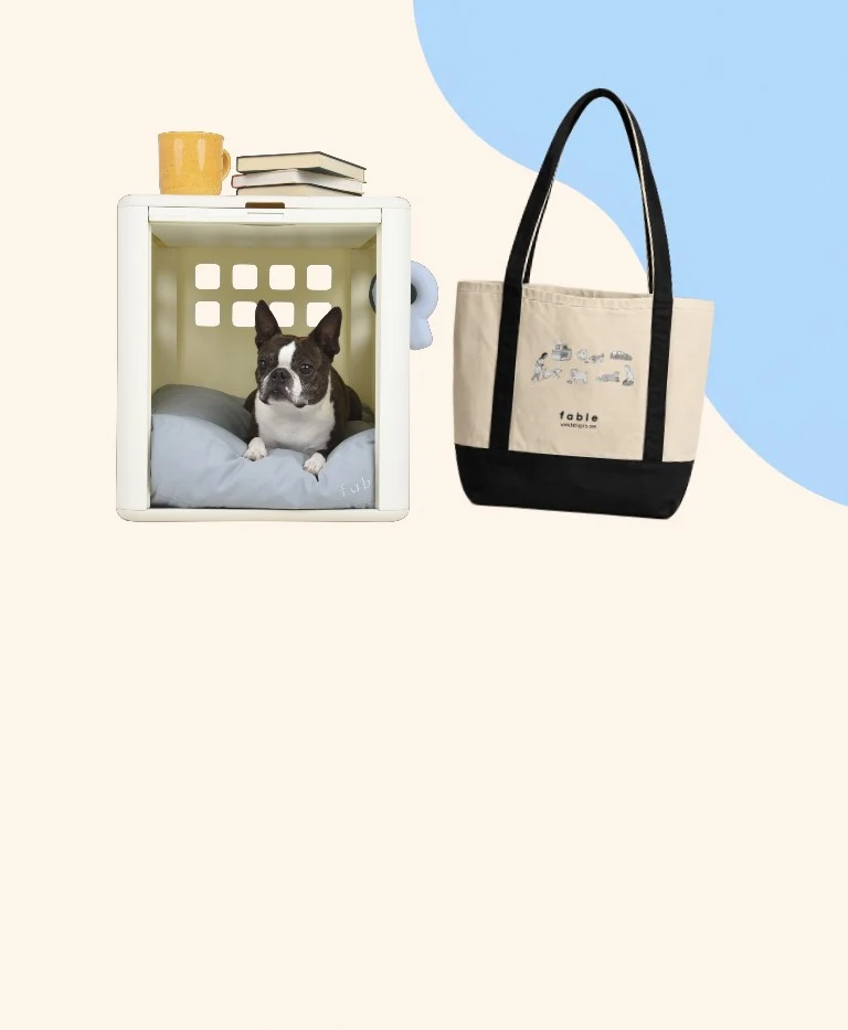 Essential Crate Lightweight Dog Crate and Side Table