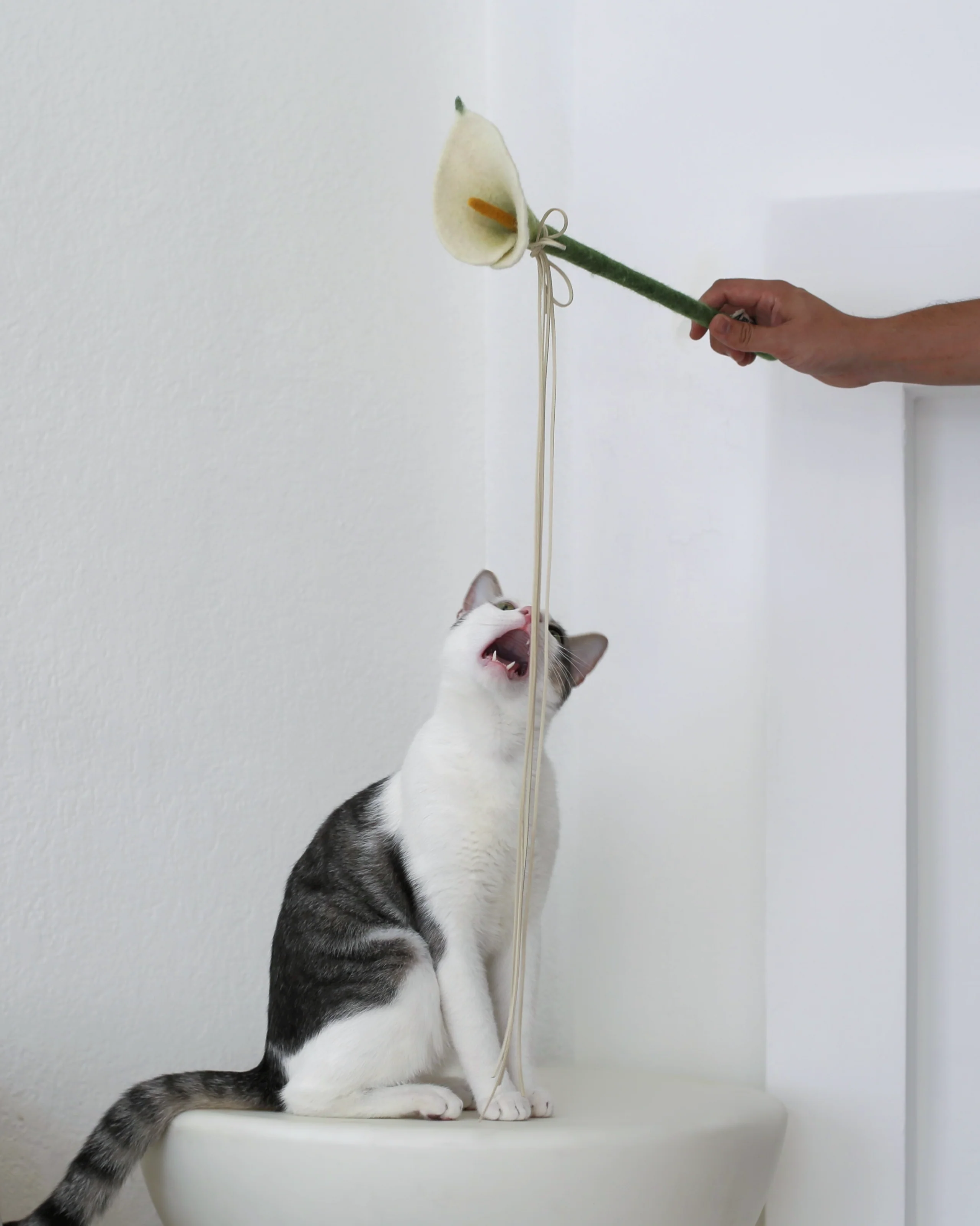 Catenary Flora Cat Wand with Calla Lily Design in Wool and Suede