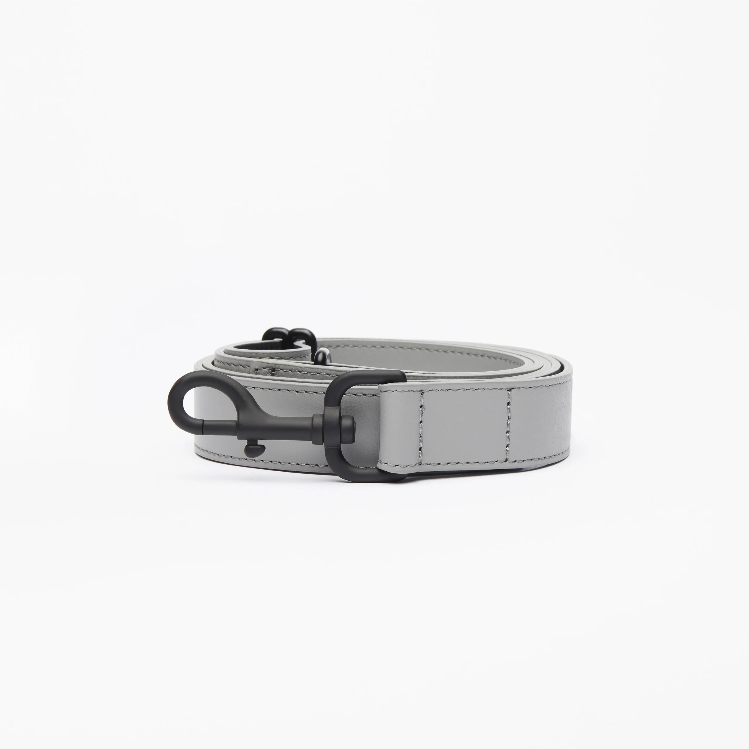Limited Edition Italian Leather Dog Leash in Modern Colors