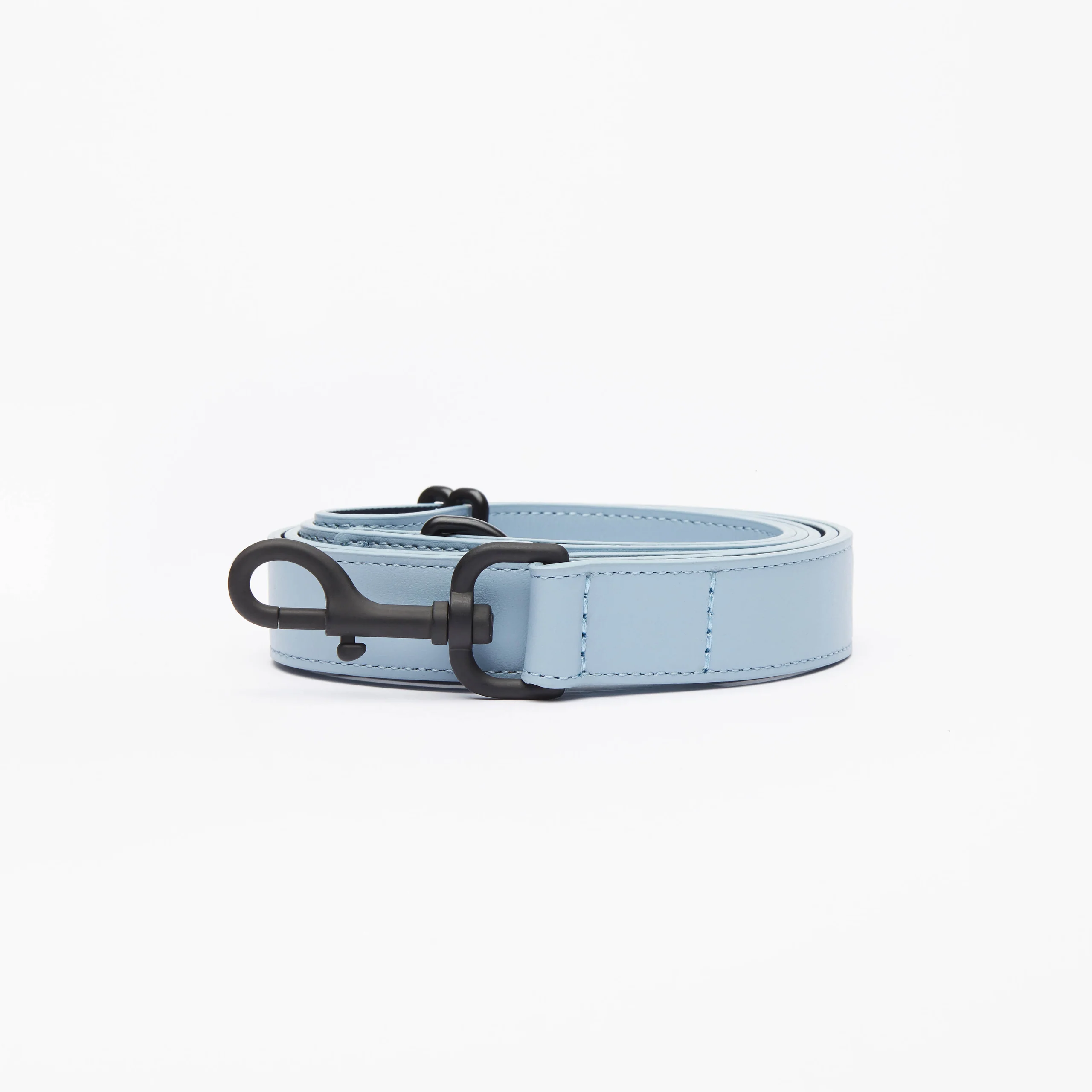 Limited Edition Italian Leather Dog Leash in Modern Colors