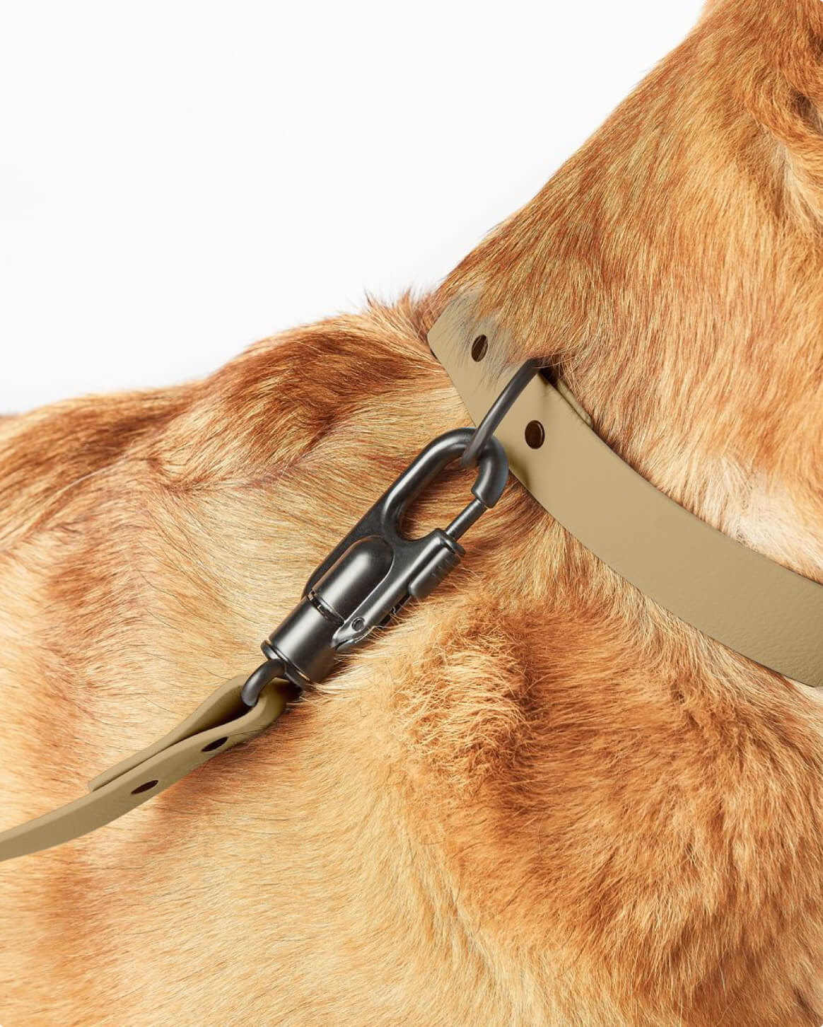 Signature Leash wodoodporna smycz dla psów ręcznie wykonana w USA