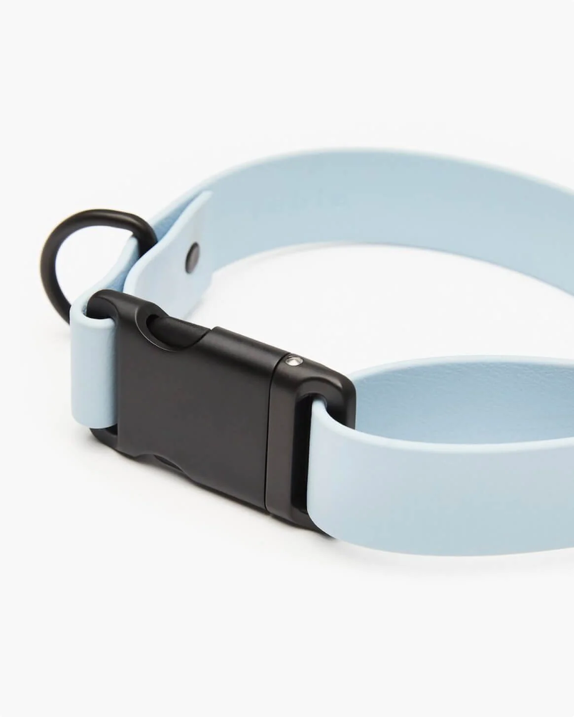 Signature Collar Personalized Coated Webbing Dog Collar