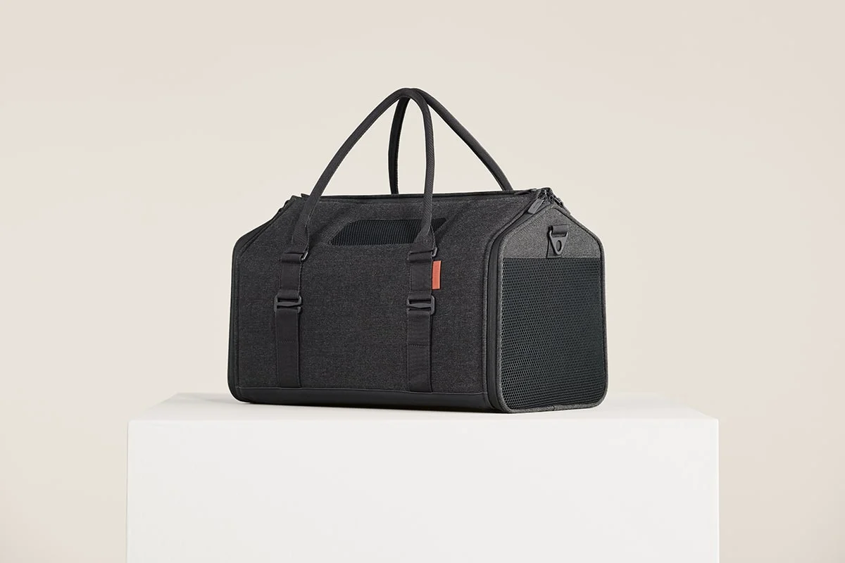 Prodotti per gatti