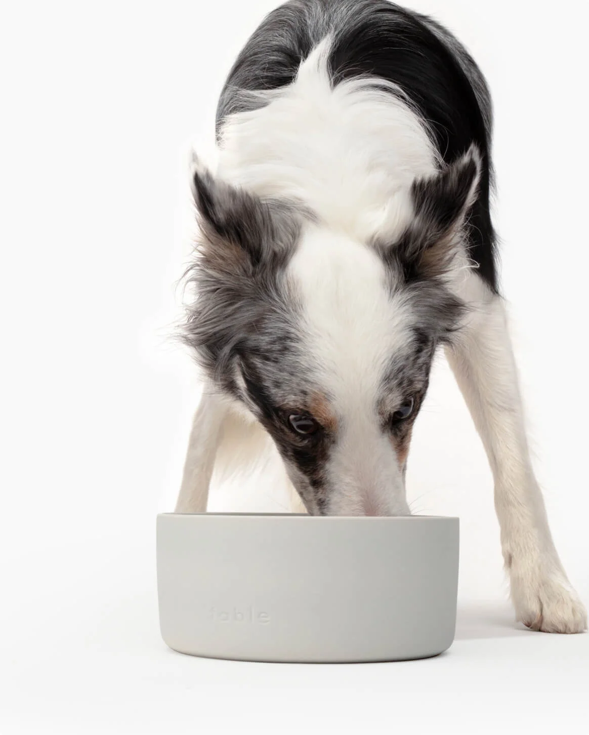 Bowl personalisierte Keramik-Futterschale mit beschwertem Sockel