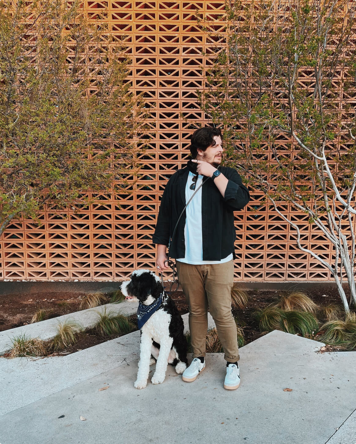 Magic Link® Hands-Free Dog Leash, Belt and Wrist Strap