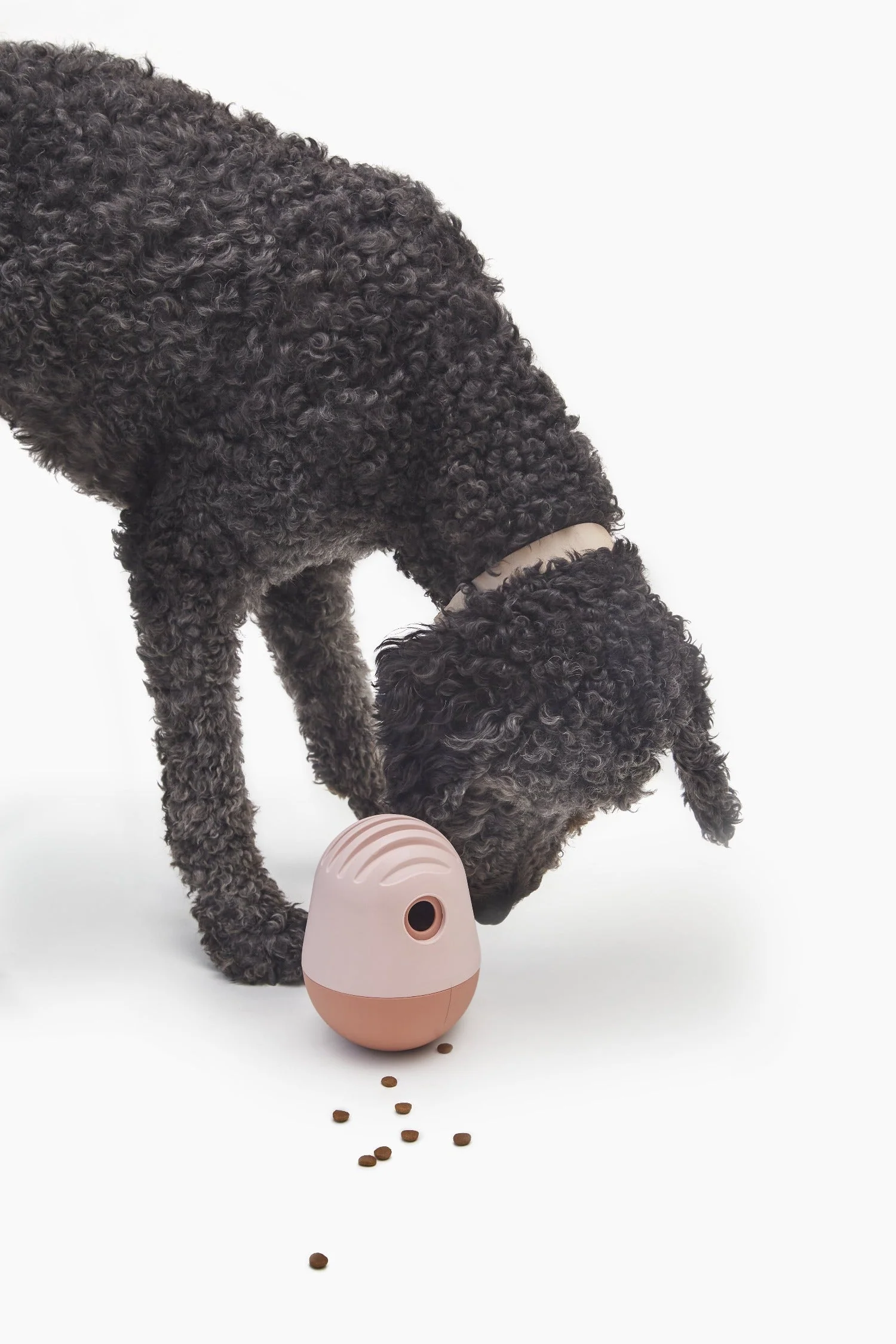 Puffin + Bites Bundle: Freeze-Dried Treats and Enrichment Toys for Dogs
