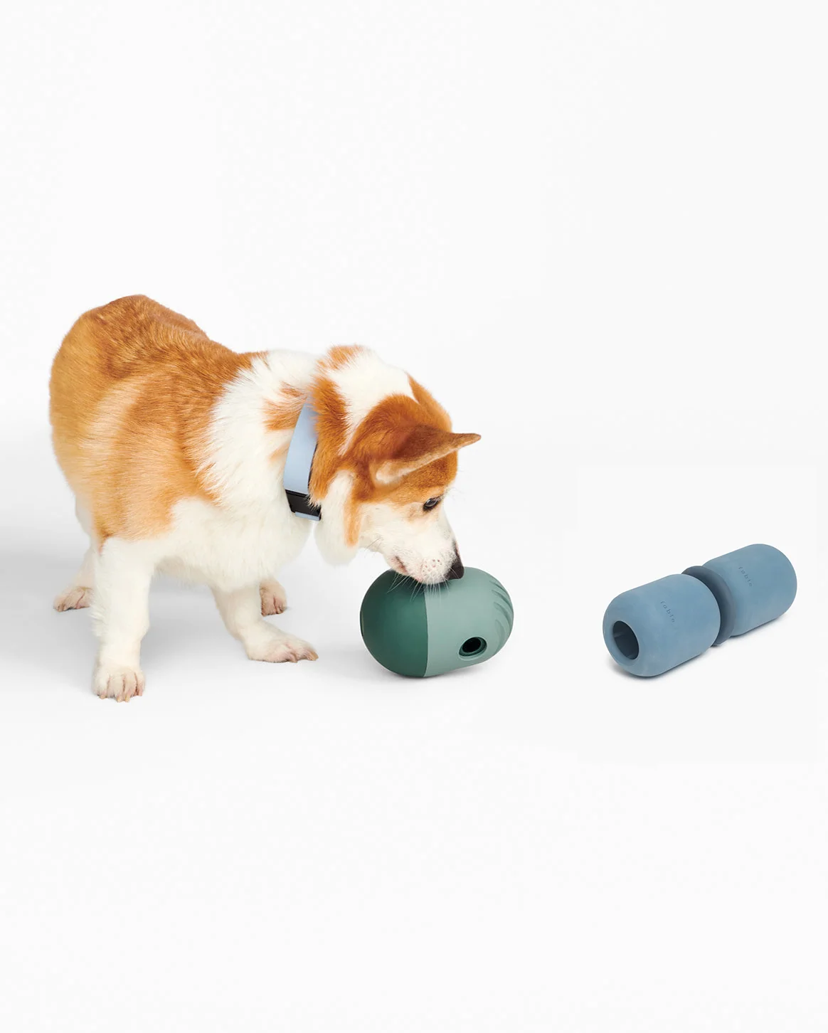 Puzzle and Play Set for Dogs: Puffin Game Feeder and Armadillo Toy