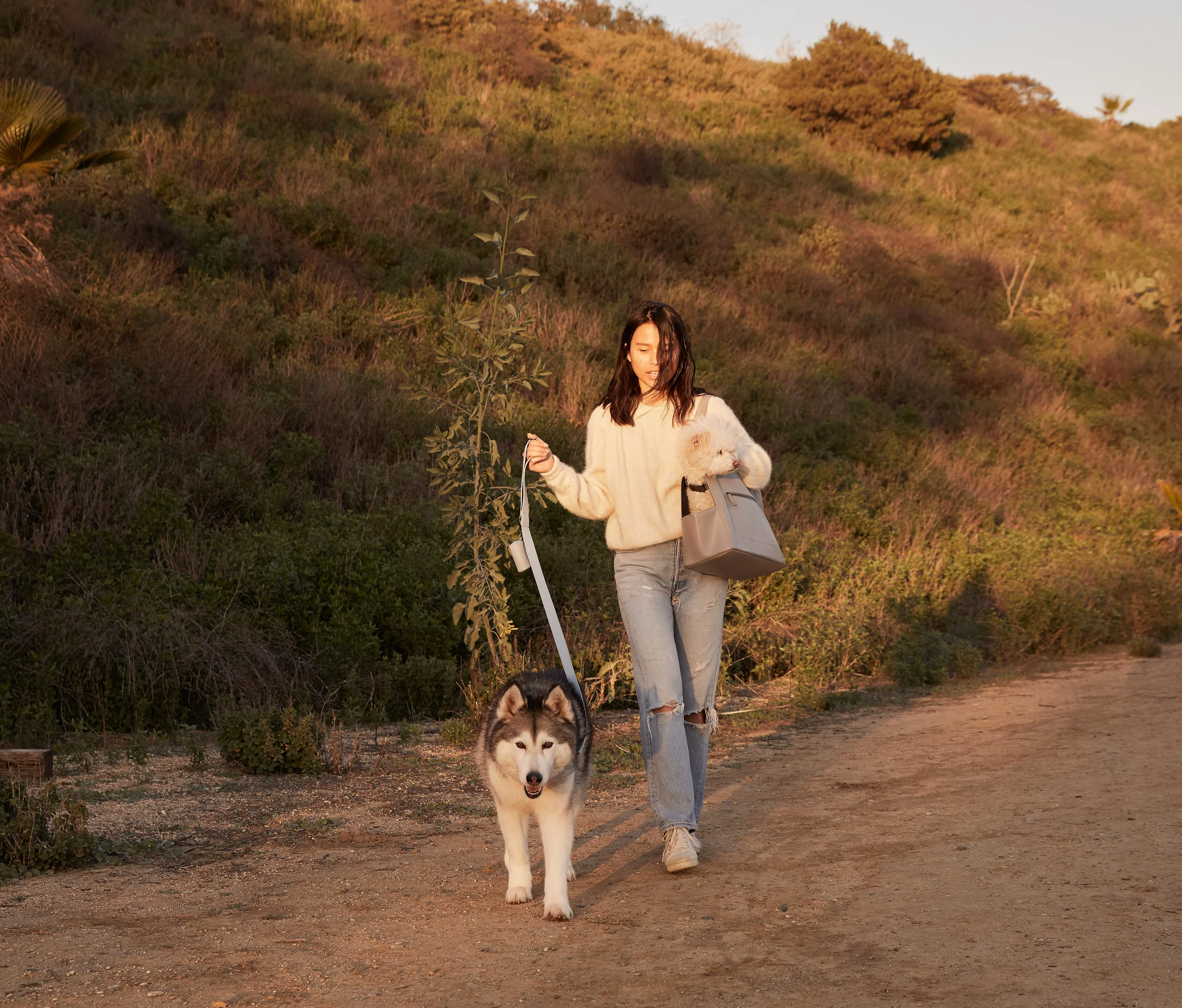Limited Edition Italian Leather Dog Leash in Modern Colors