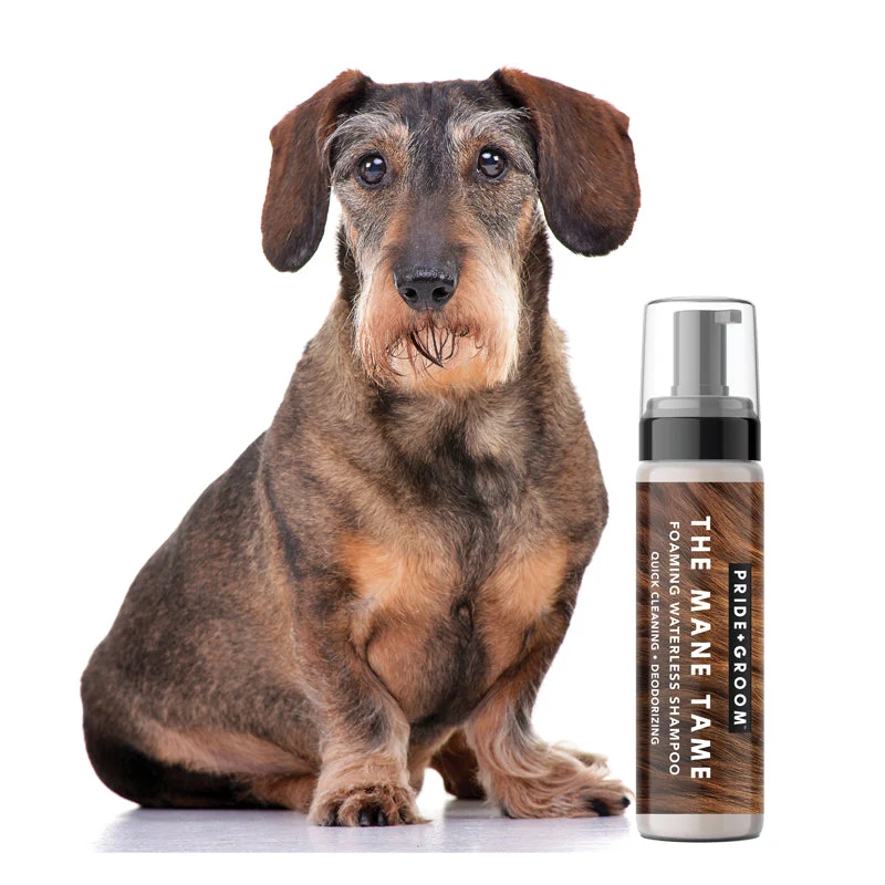Pride + Groom THE MANE TAME vesitön shampoo koirille ja kissoille