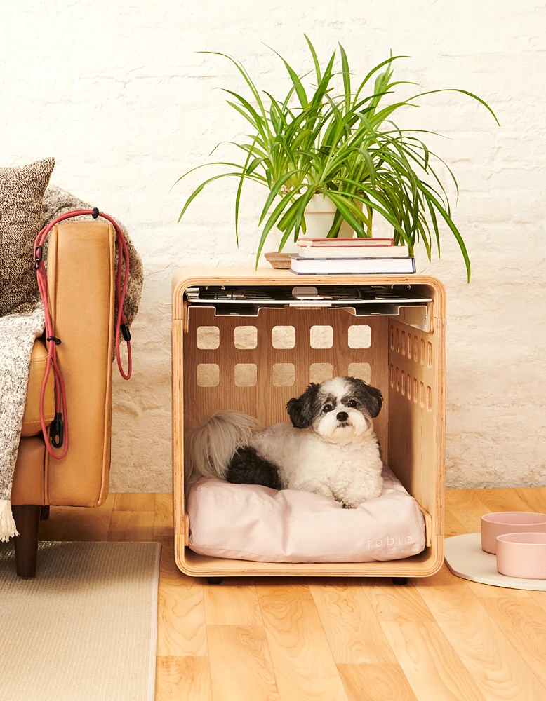 Signature Crate Bentwood Furniture Dog Crate in Two Finishes