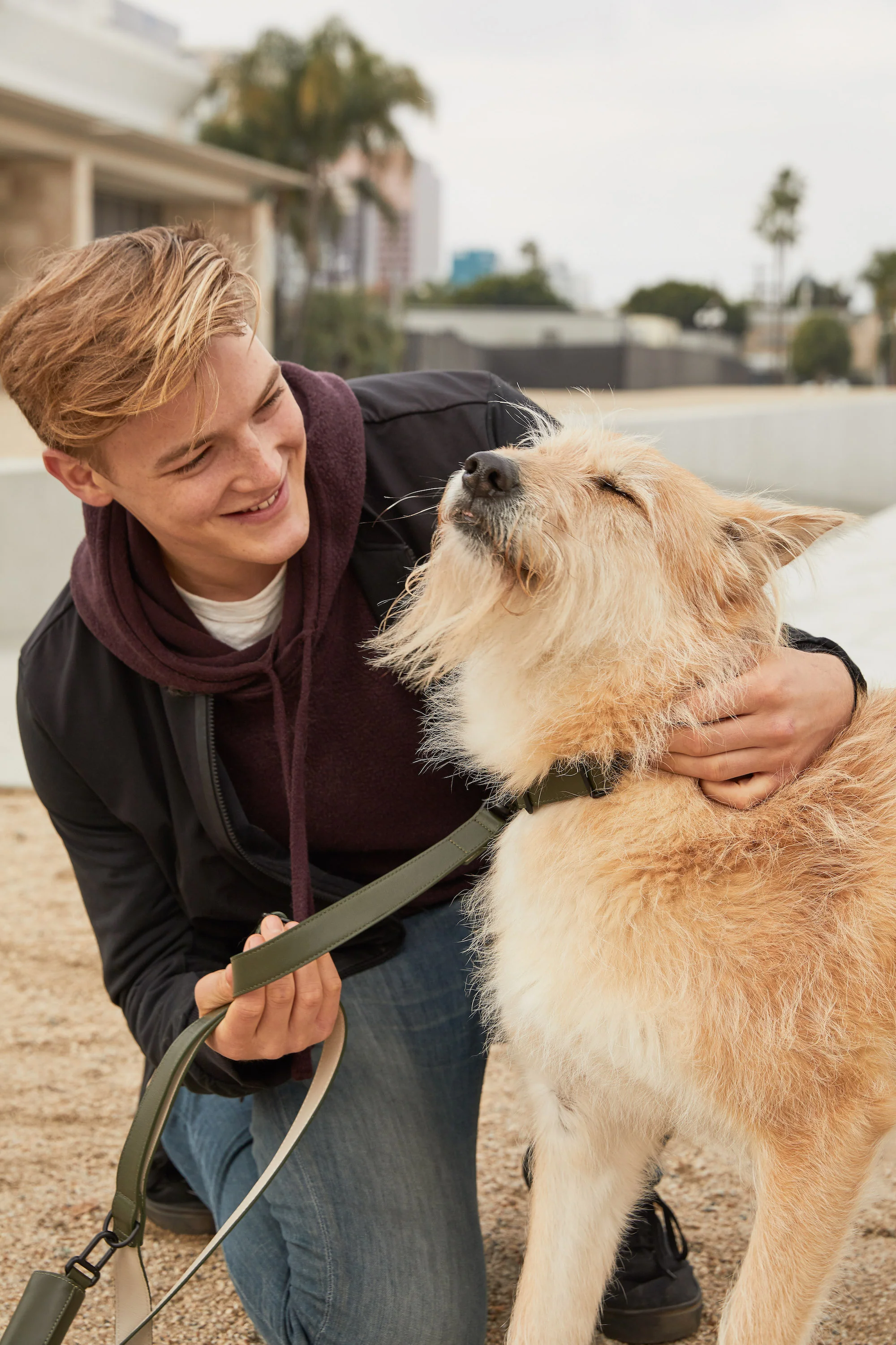 Limited Edition Italian Leather Dog Leash in Modern Colors