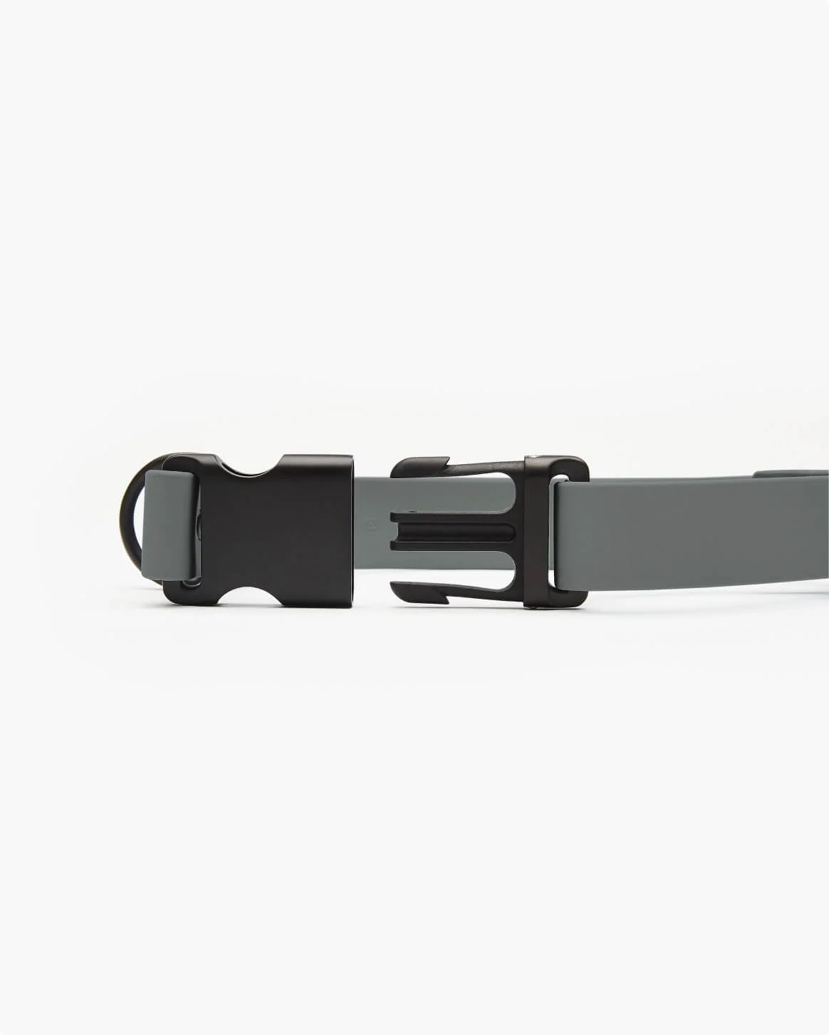 Signature Collar Personalized Coated Webbing Dog Collar