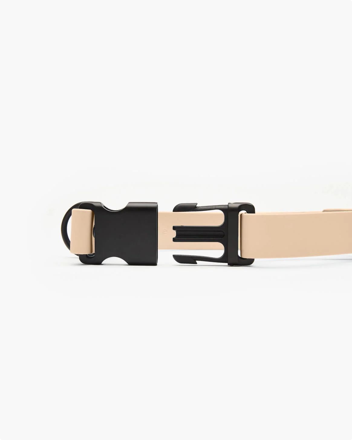 Signature Collar Personalized Coated Webbing Dog Collar