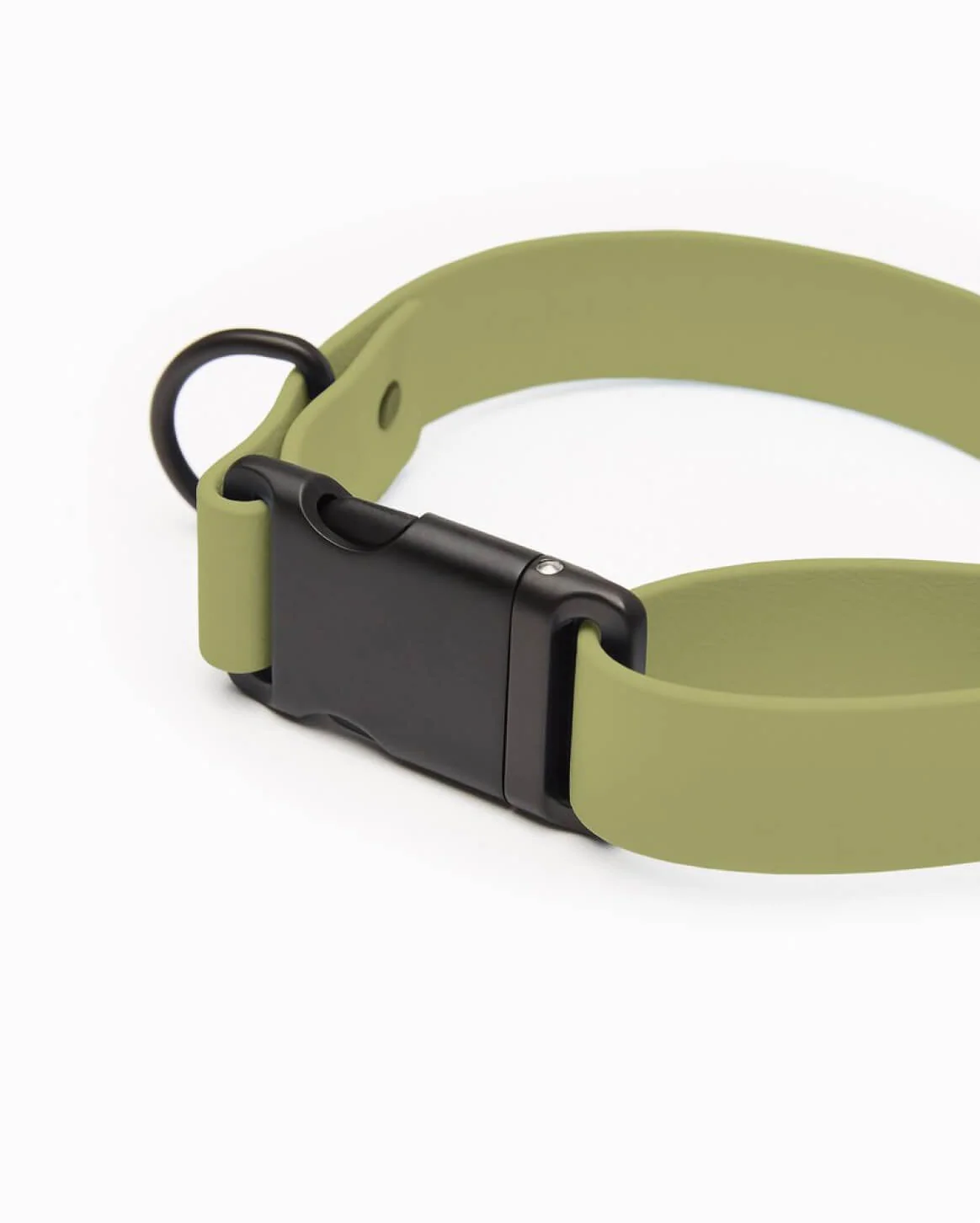 Signature Collar Personalized Coated Webbing Dog Collar