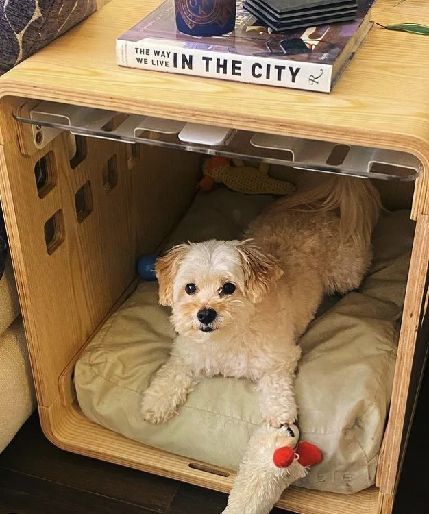 Signature Crate Bentwood Furniture Dog Crate in Two Finishes
