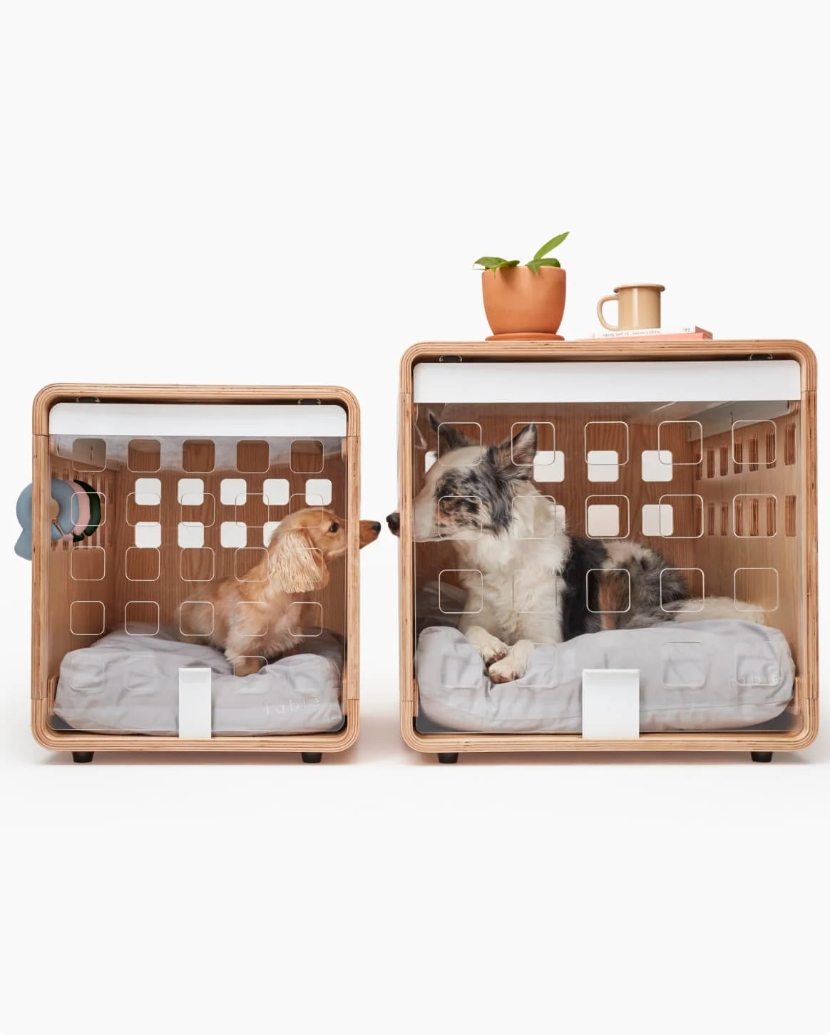 Signature Crate Bentwood Furniture Dog Crate in Two Finishes