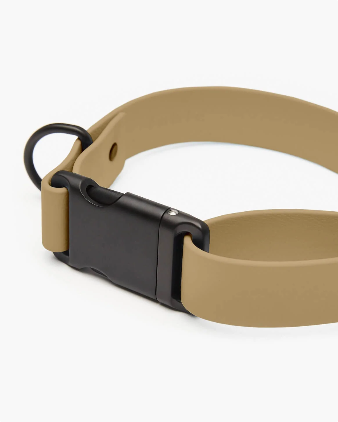 Signature Collar Personalized Coated Webbing Dog Collar