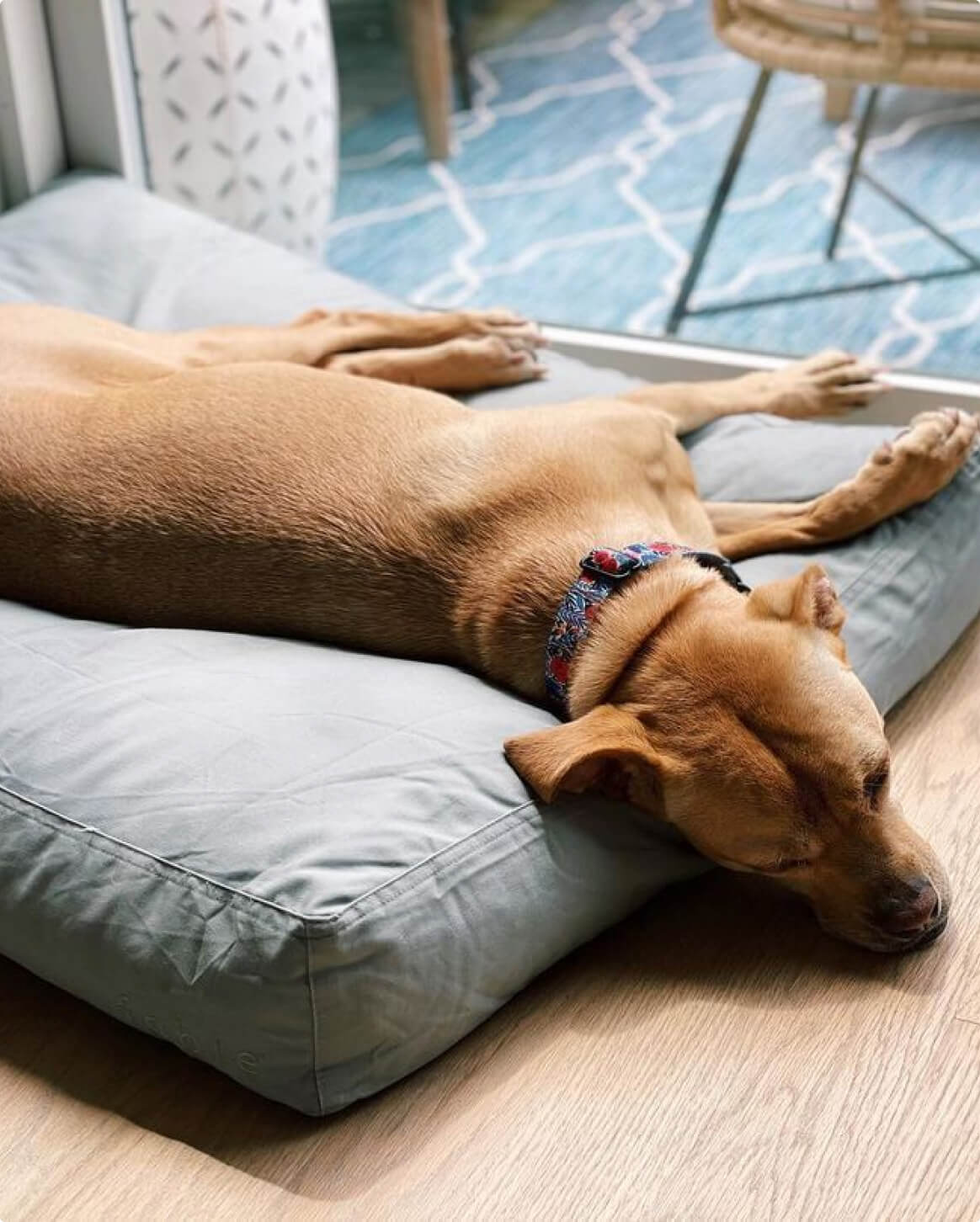 Memory-Foam-Hundebett mit wasserfester, maschinenwaschbarer Außenhülle