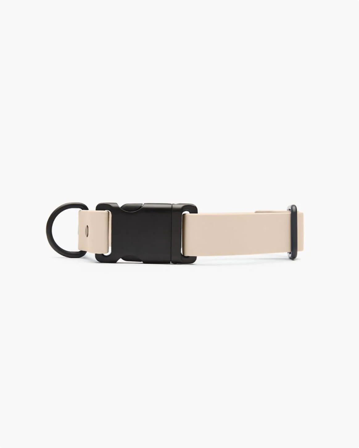 Signature Collar Personalized Coated Webbing Dog Collar