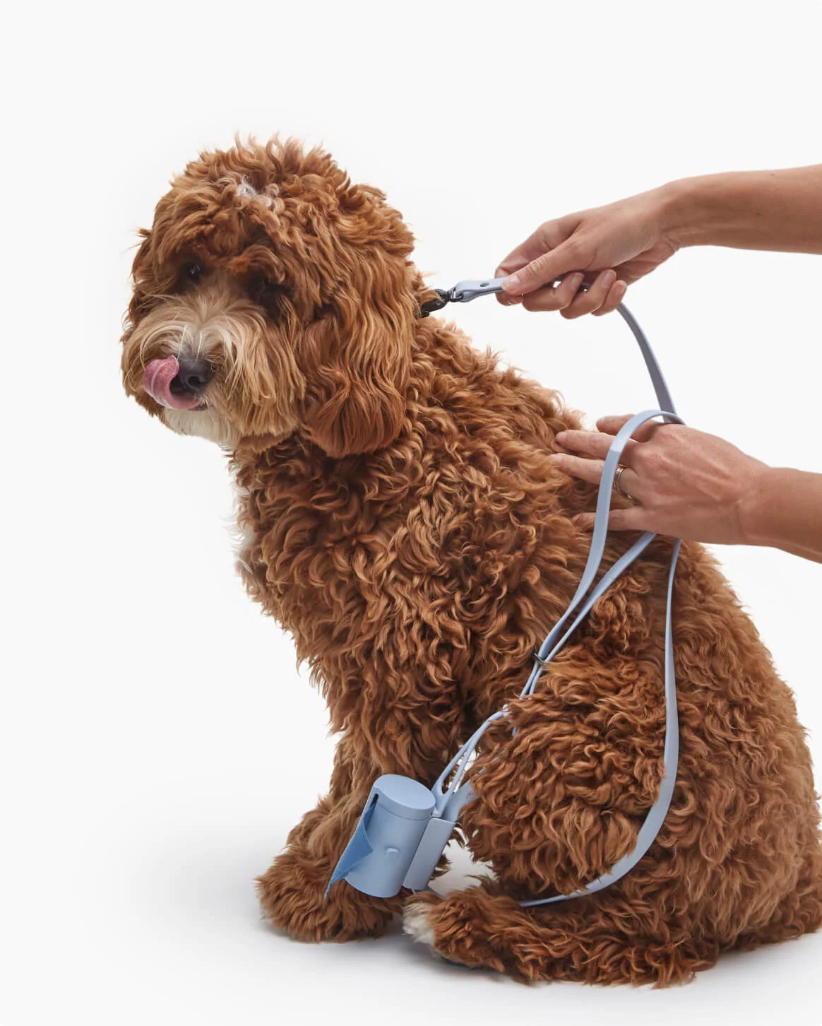 Signature Leash Waterproof Dog Leash Handmade in the USA