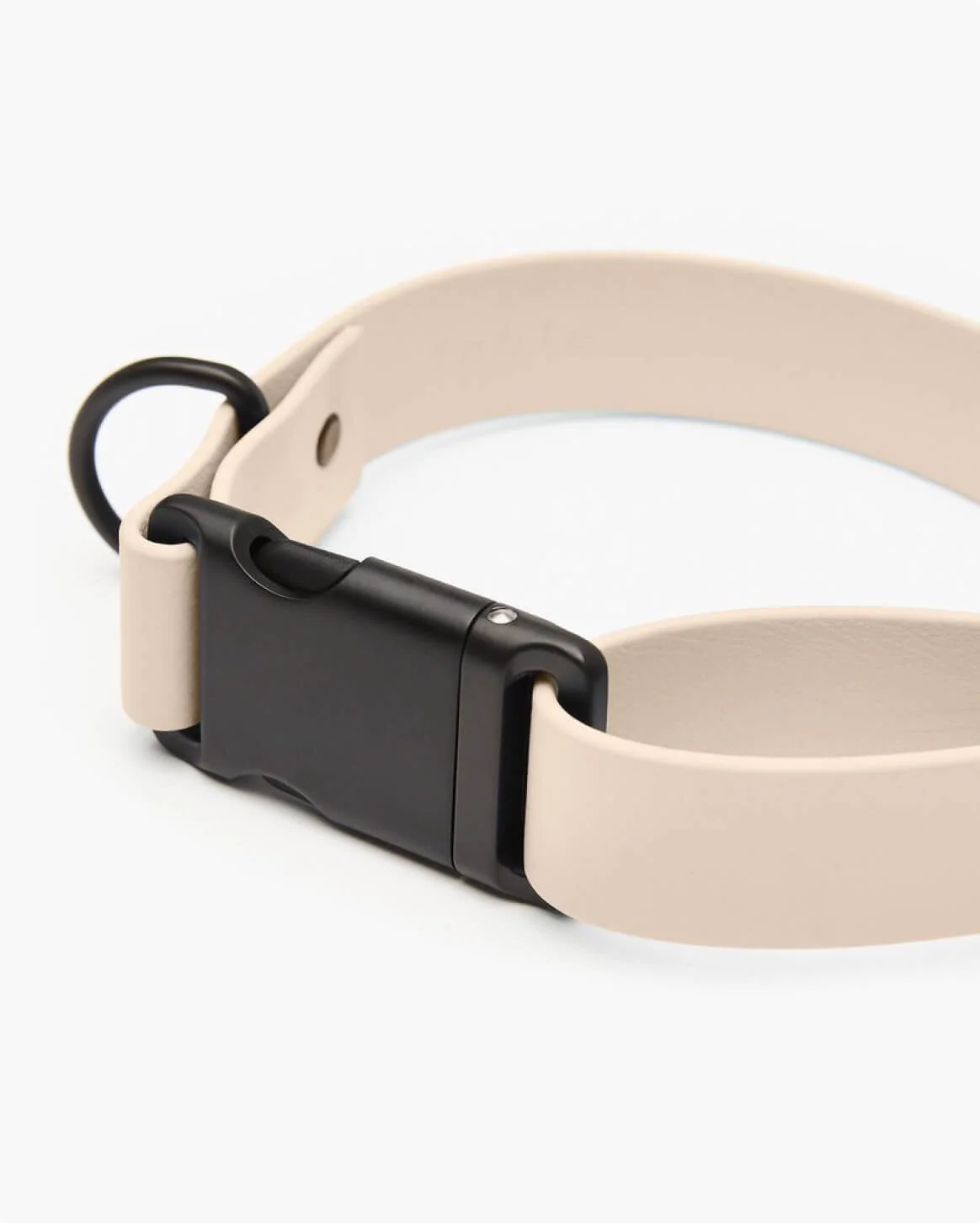 Signature Collar Personalized Coated Webbing Dog Collar