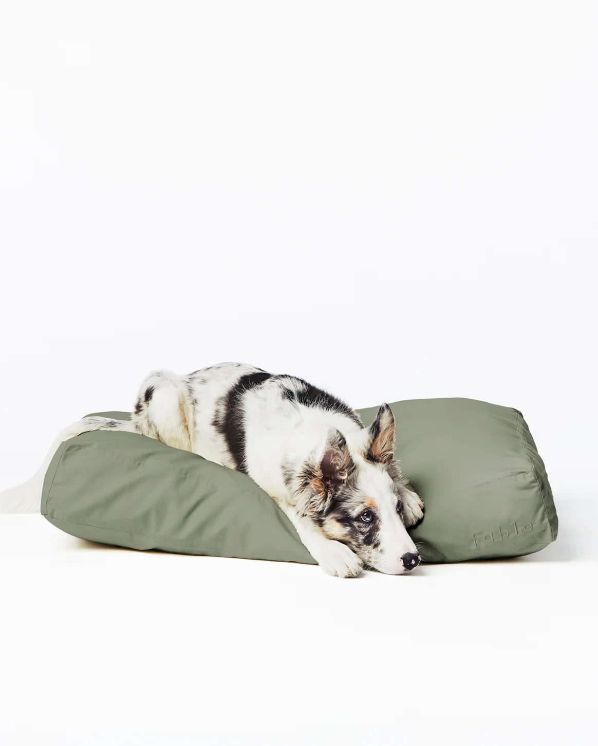 Memory-Foam-Hundebett mit wasserfester, maschinenwaschbarer Außenhülle