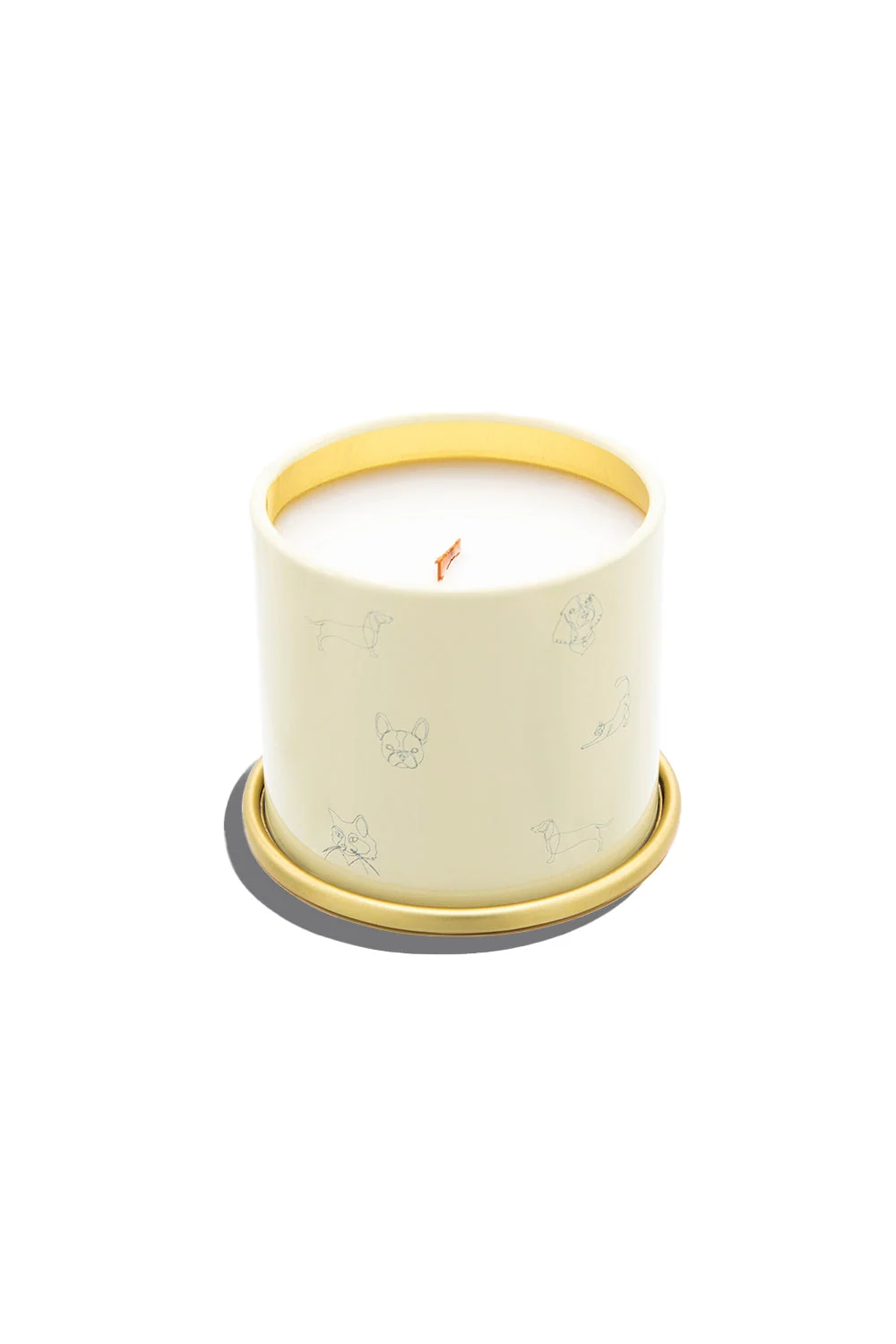 Companion Candles You Got This! 熱帶花蜜與水果香氛蠟燭