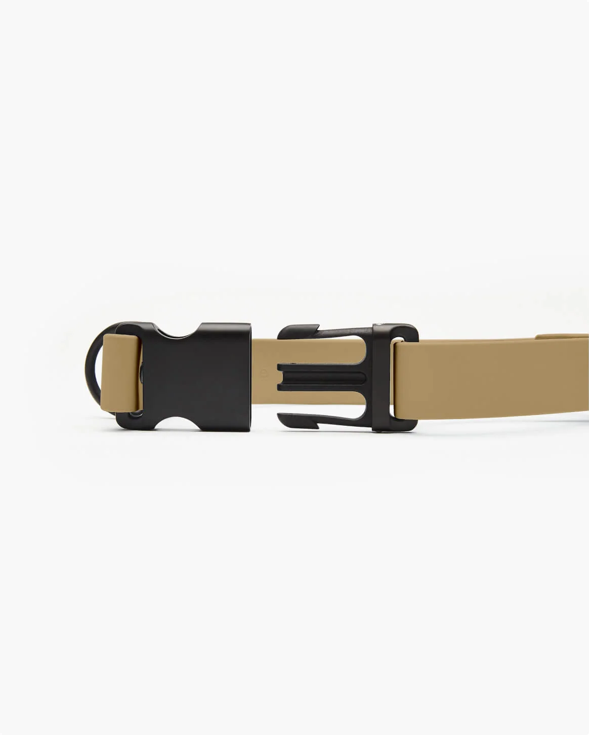 Signature Collar Personalized Coated Webbing Dog Collar