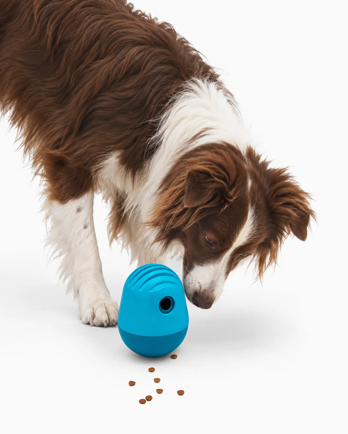 The Puffin™ Gioco Puzzle Interattivo per Cani che Contiene 1,5 Tazze di Cibo